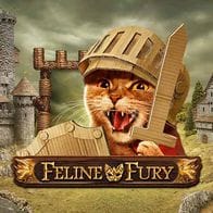 Feline Fury