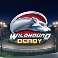 Wildhound Derby screenshot